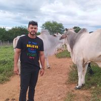 deusimartn