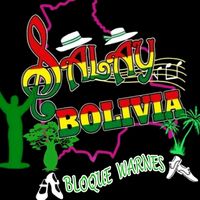 salayboliviabloquewarnes