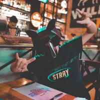 Fuerza Regida en Colombia RUBERT SANTANDER