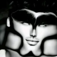 Pensuo theropodsvault