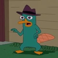 phineas_and_ferd_watcher