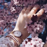 original sound - zebhjllh