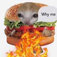 catburger203