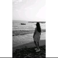 hasema__