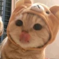 sarahy519