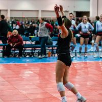 carrie.volleyball