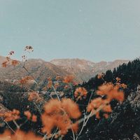 bubble pop electric slowed