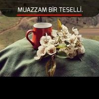 derya0891