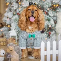 original sound - cocog_elcocker