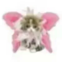 original sound - twitch__sunshine