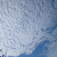 suara asli - Aedell🌠