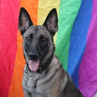 In January February MARCH April