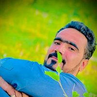 ameermuhammad9733