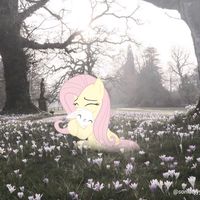 оригинальный звук