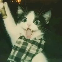 audentesfortunaluvatjl