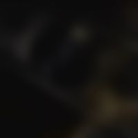 original sound - Whosoeversouth