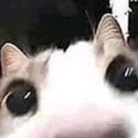 yo_q_sexd