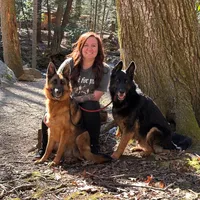 original sound - vincentrunstheworld