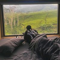 suara asli - kikirast3