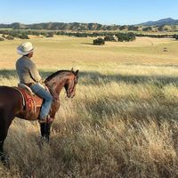 mi_cadete_mi_caballo