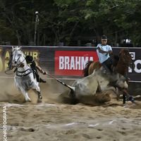 luizbufallo