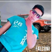 flcn99