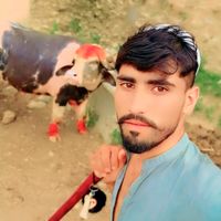 kamrankhani227