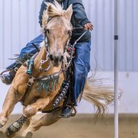 cowboy_and_human
