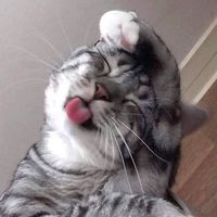 yayee_65