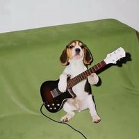 sonido original