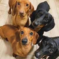 billyfamily1