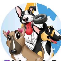 irmaosbulls