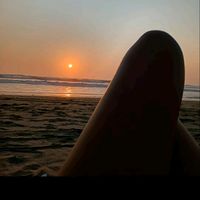 fer_03_31