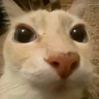 original sound - el_goblino4200