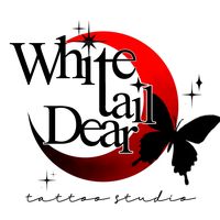whitetaildearstudio