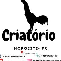 criatorionoroestepr