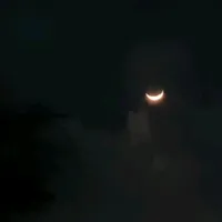 original sound - b_zolrack_f