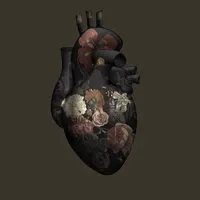 original sound - knoz_elquran