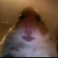 sfaturi_pentru_voi12