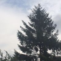 heycmonurlazywakeup