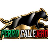 perrocallejeromx