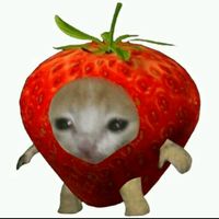 vivian_freitas0431