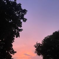 เสียงต้นฉบับ - Ploy123K