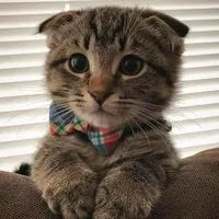 original sound - rjhermoso15