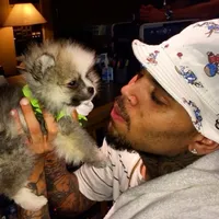 original sound - umbhris