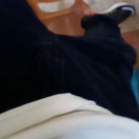 el_pelofinoxd