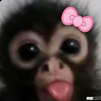 random_editzz0407