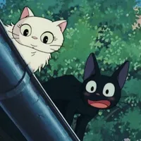 original sound - andy.shehigian