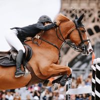 .horse.editzz.0