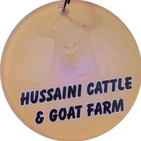 hussainicattlefarm1